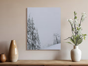 fd2f559b-f8ac-4cc9-b00a-4447bb878125