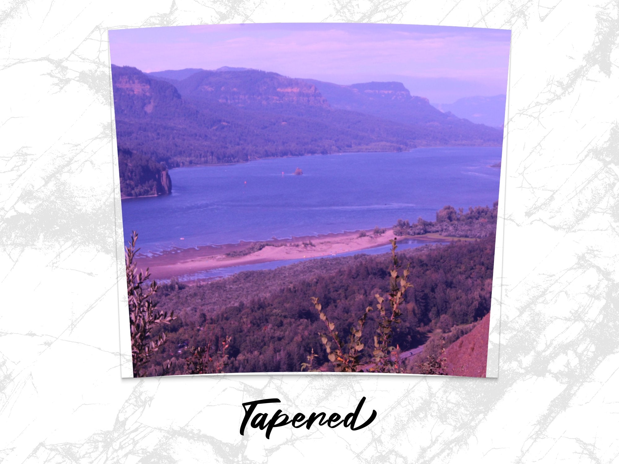 fd6a77a0-b09a-457a-a820-19b9c7bbfd85