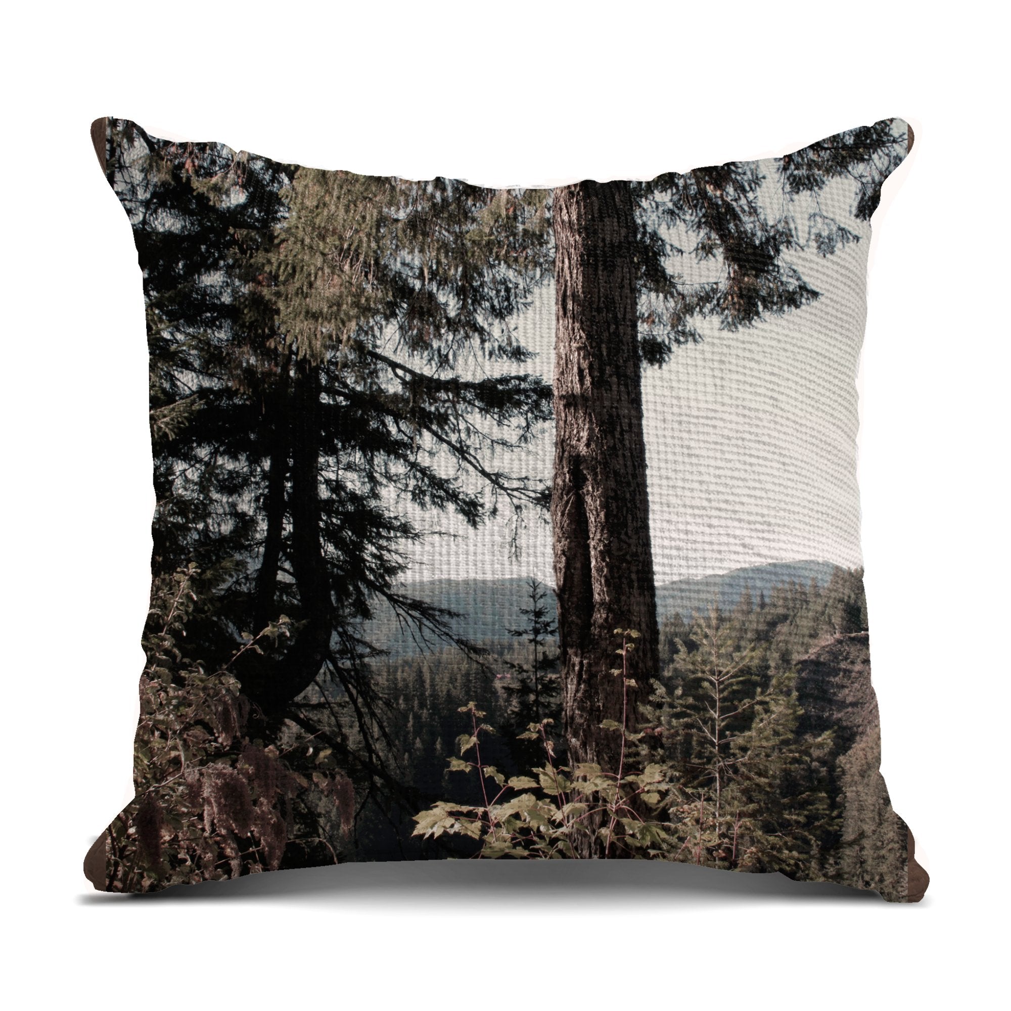 fd773bc9-5993-43c6-8f99-81b8f05acdc5