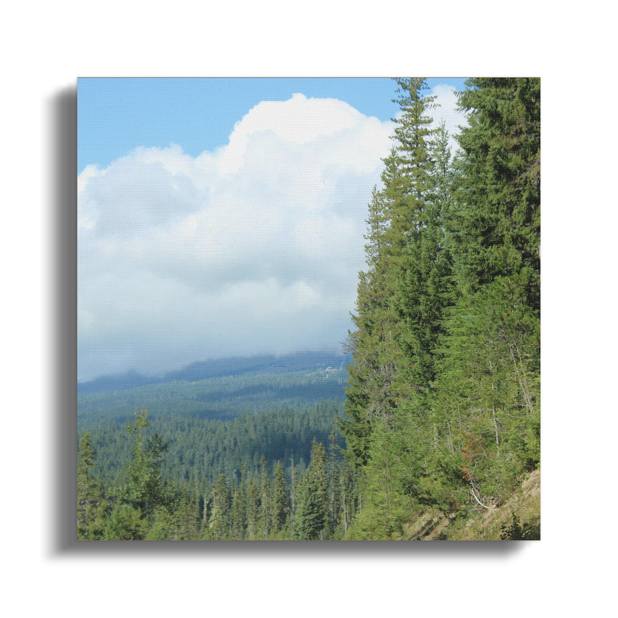 fd77c85c-8b48-4097-a59b-83bba46862f8