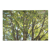 Beautiful Mt. St. Helens Washington Tree Scene product