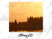 fe3181fa-3dae-41bd-82ee-a9d43b3f0d71