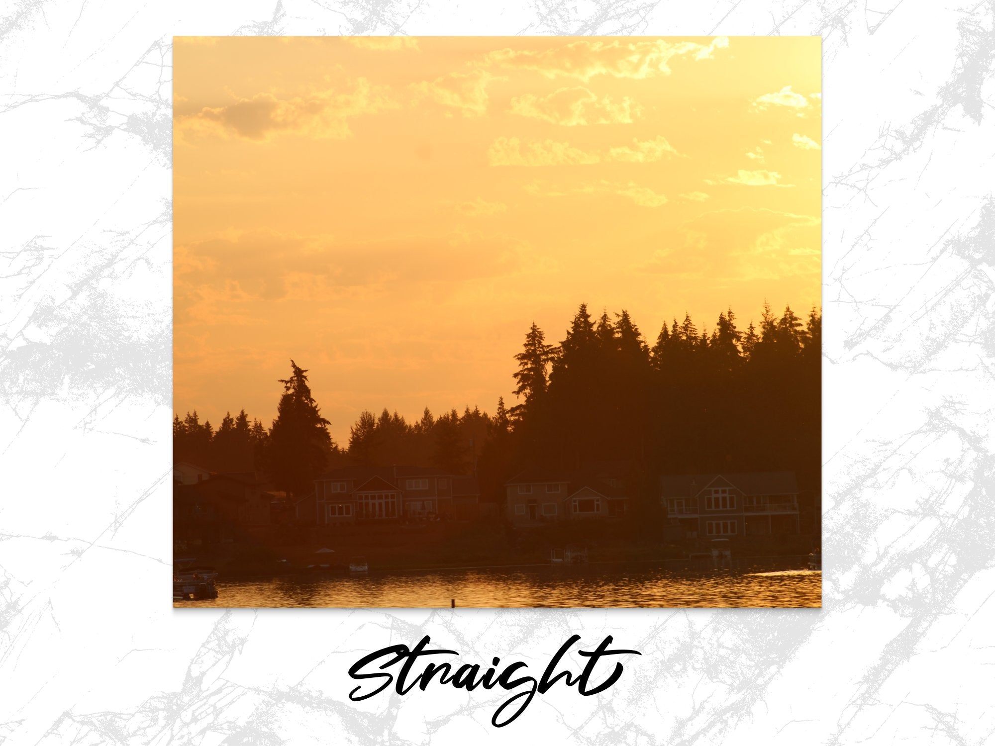 fe3181fa-3dae-41bd-82ee-a9d43b3f0d71