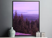 fe3f1202-83a4-4370-8893-2c16493fd99d