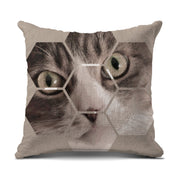 fe6dfdc8-0ecf-4971-9c93-741ef633ee9f