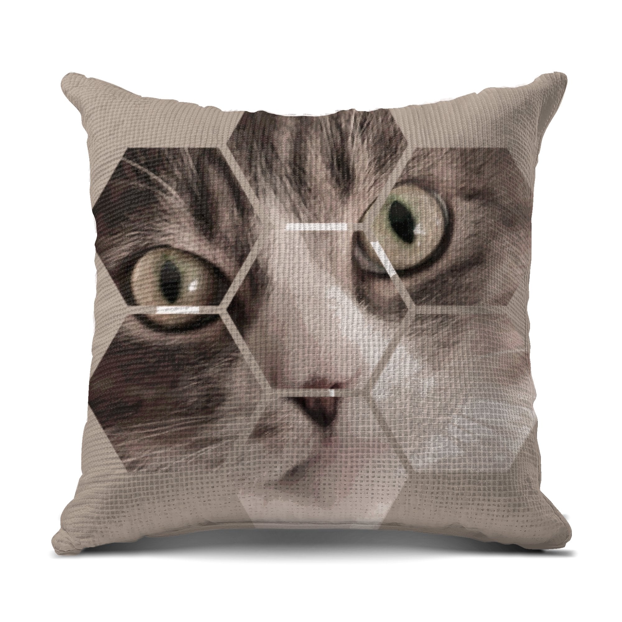 fe6dfdc8-0ecf-4971-9c93-741ef633ee9f