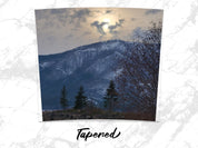 fe961b6d-9328-4552-8ae7-03230b4cb6b0