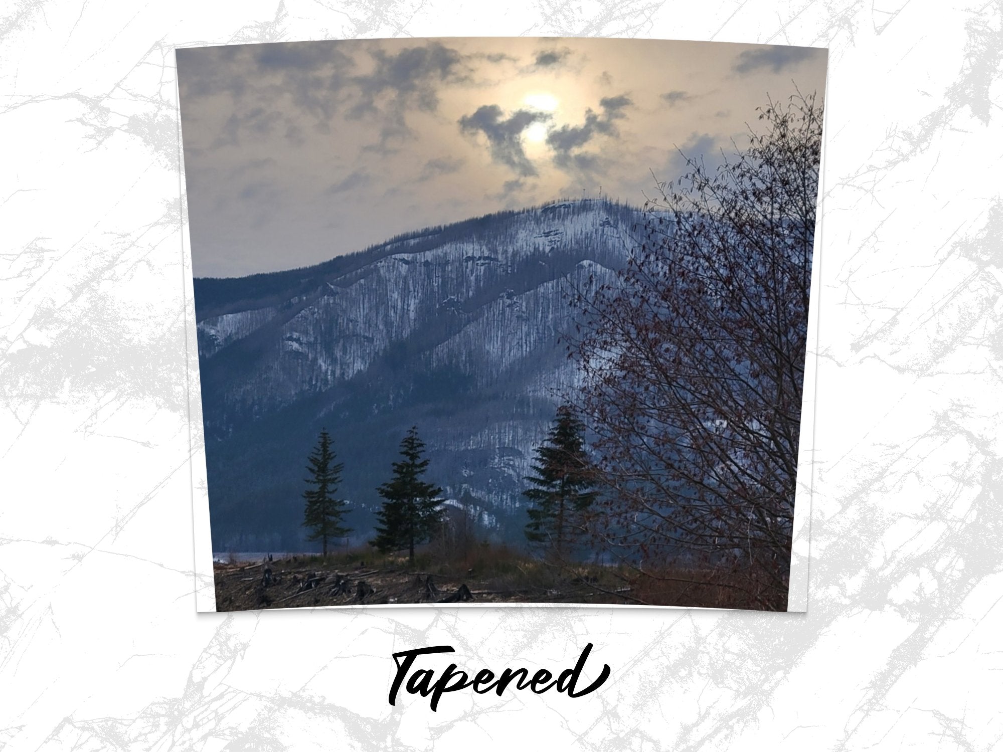 fe961b6d-9328-4552-8ae7-03230b4cb6b0