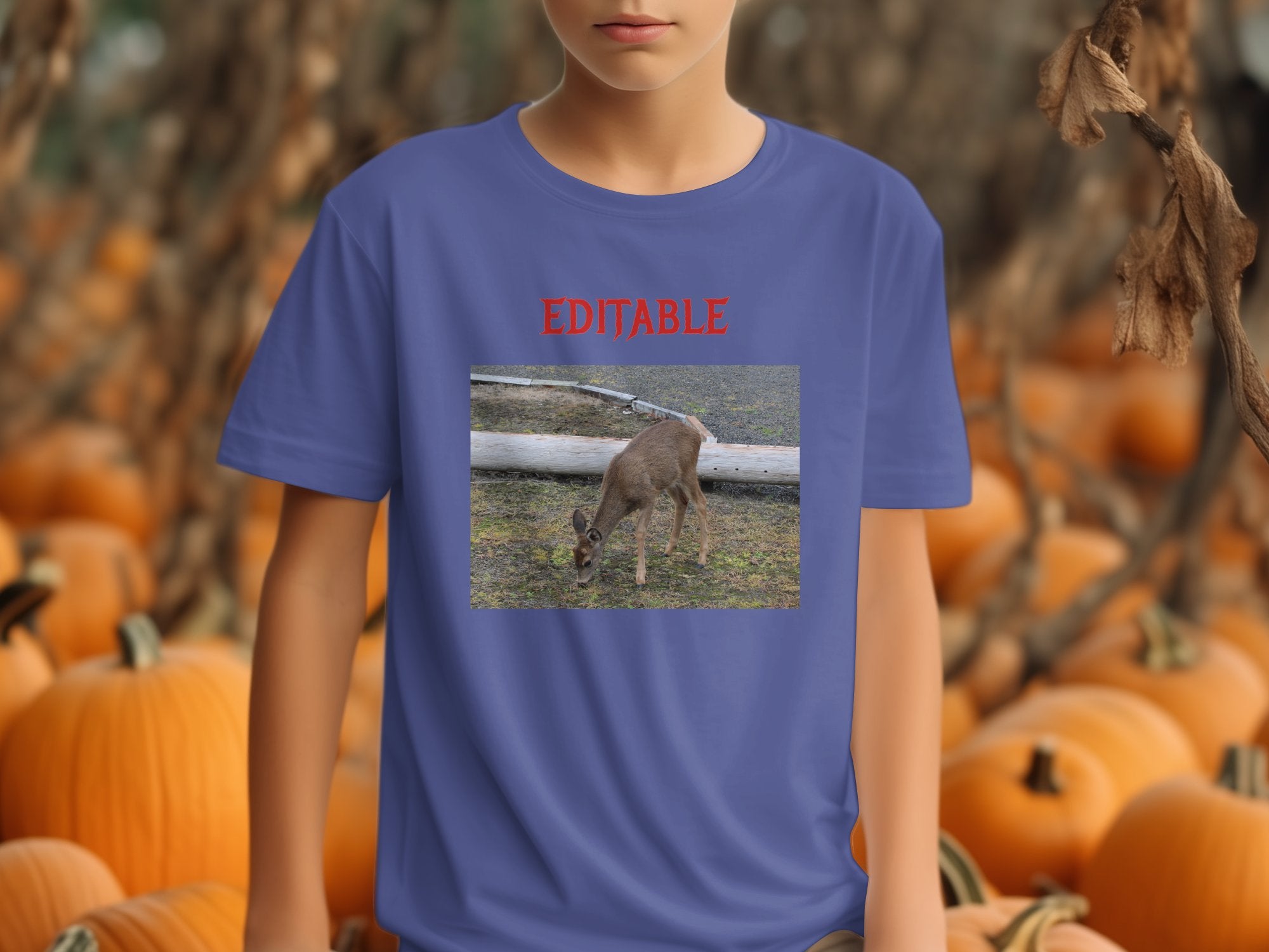 fea47283-45bc-43c3-9a91-262916e850c5