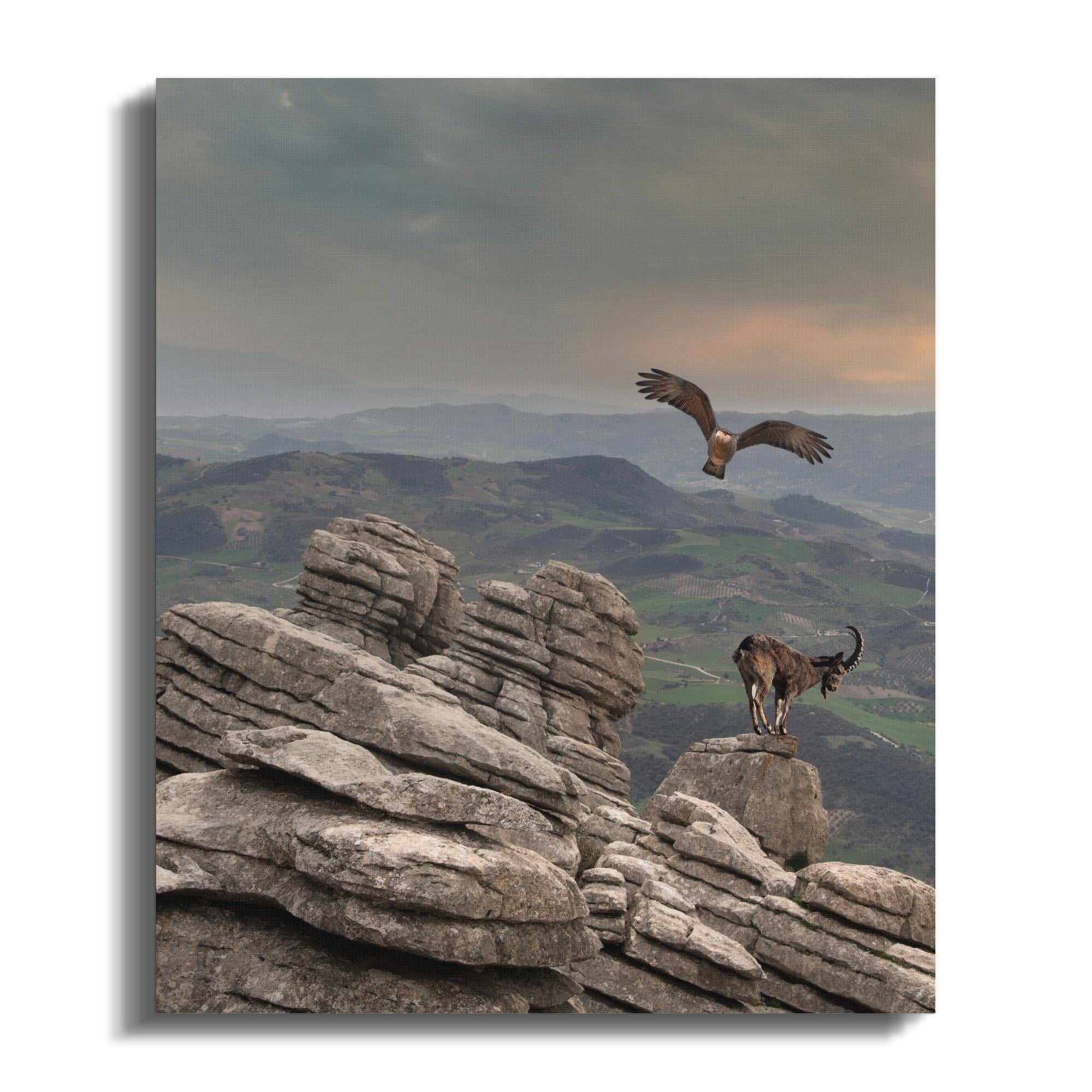 fec79b4a-f1eb-45c7-ac8d-9f79ce037eb2