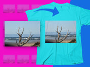 ff05ba0e-a714-40ff-a12f-00cefe830327