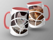 ff1e6a30-08a3-438b-8b49-bcde396778bb