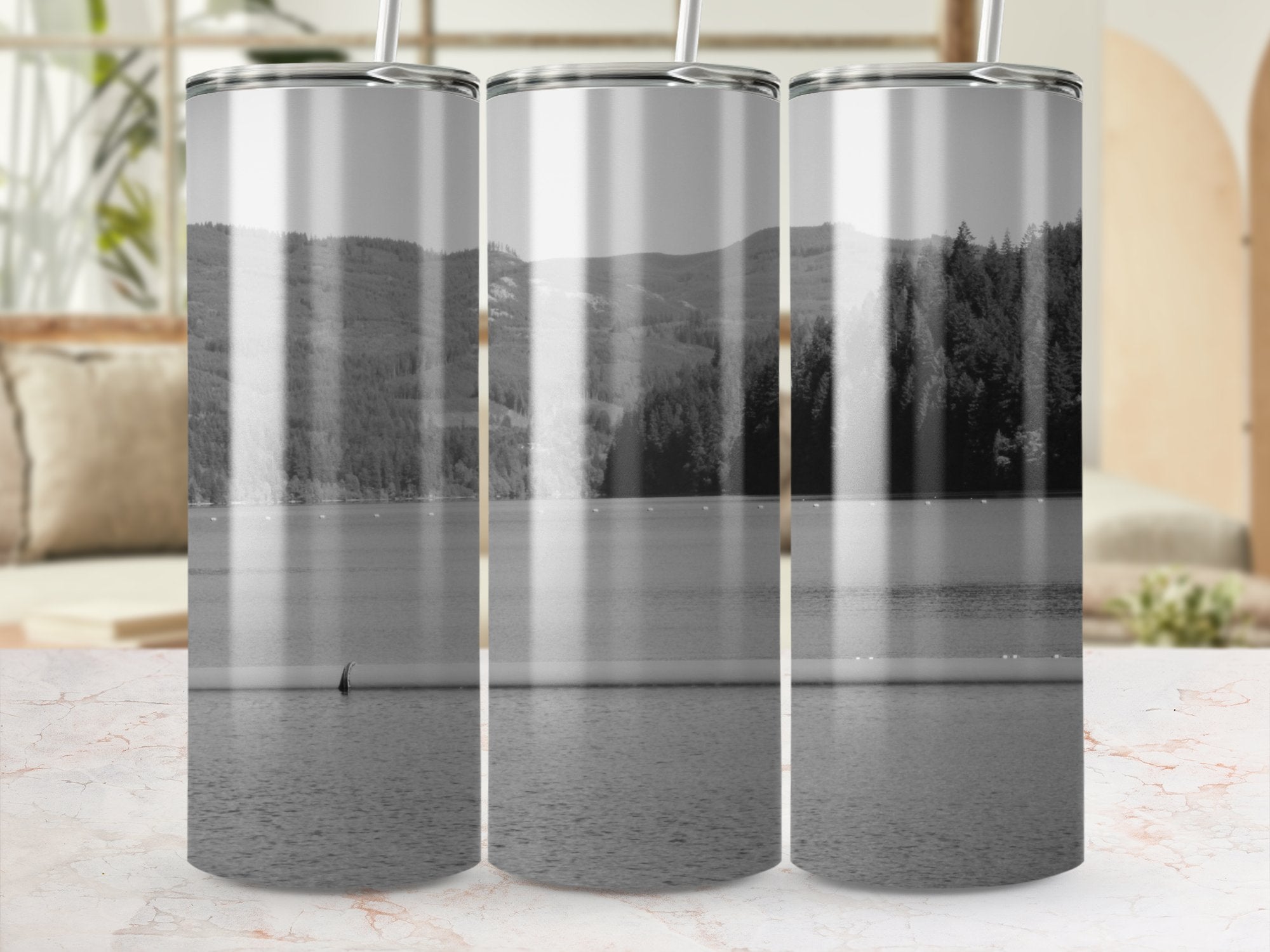 ff2dab2c-5449-4c72-9bd3-46d1a2e3f13d