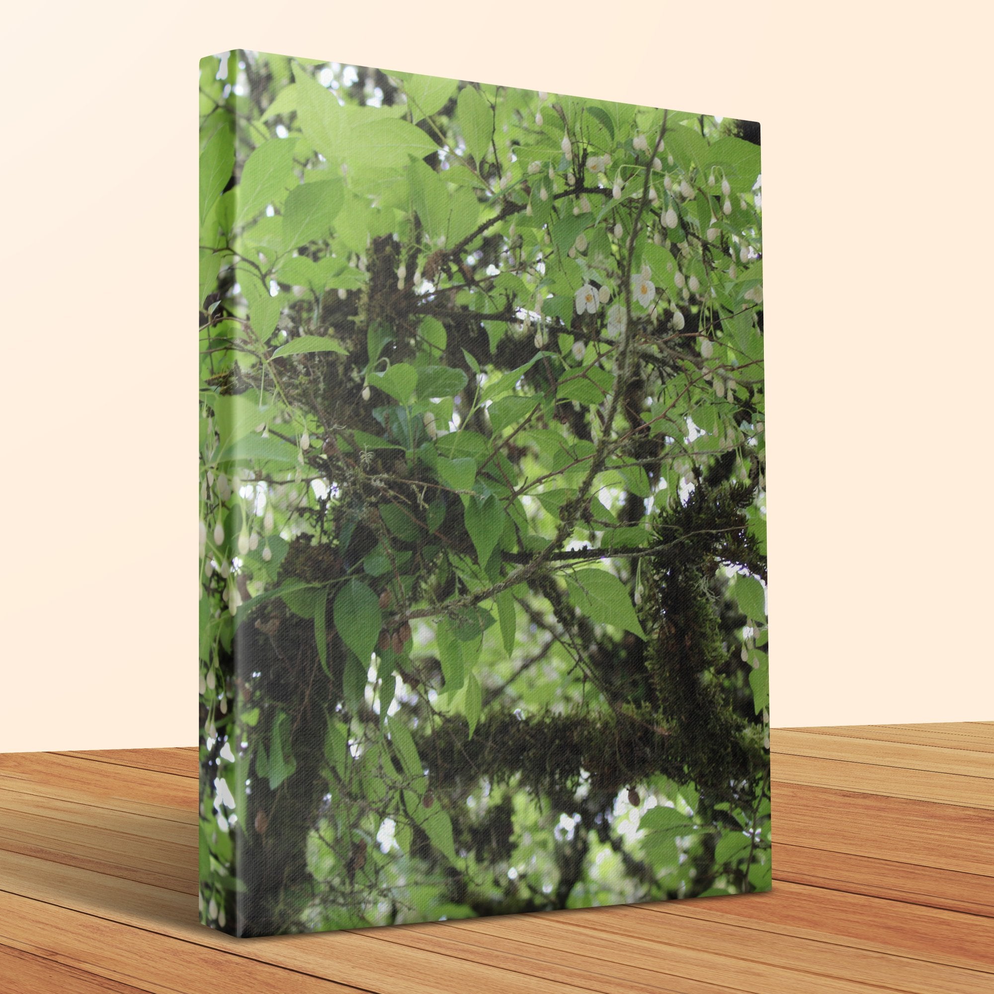 Lush Green Forest Nature Scenes Canvas Wall Art product