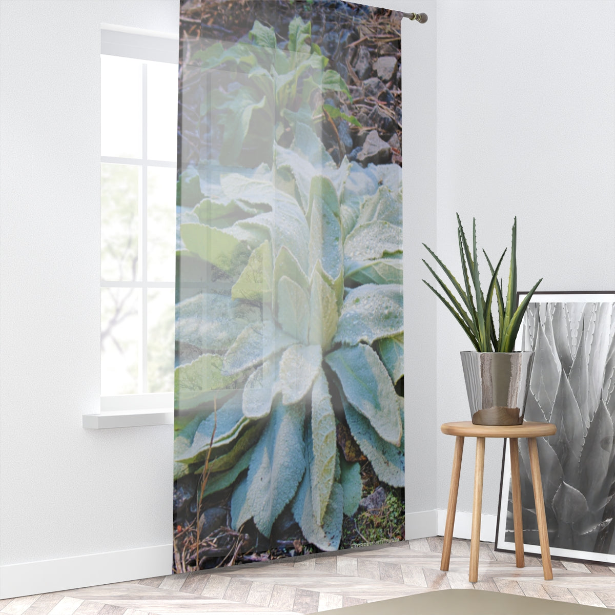 Lamb's Ear Window Curtain, Morning Dew Drops Pattern, Nature Inspired, Modern Home Decor, Unique Window Coverings, Botanical Print, Garden