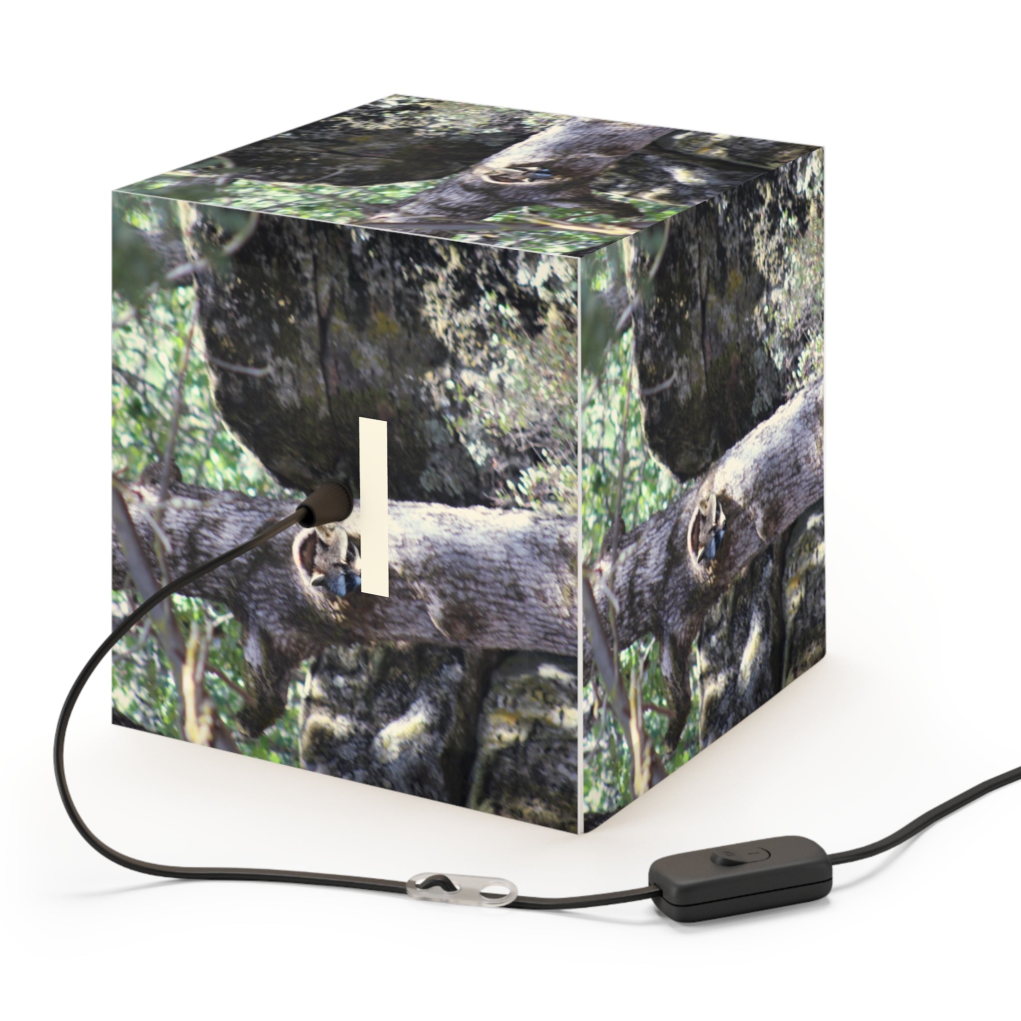 Raccoon Forest Tree Trunk Cube Lamp product type