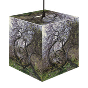 Tree Branches Mossy Ground Nature Scene Cube product type
