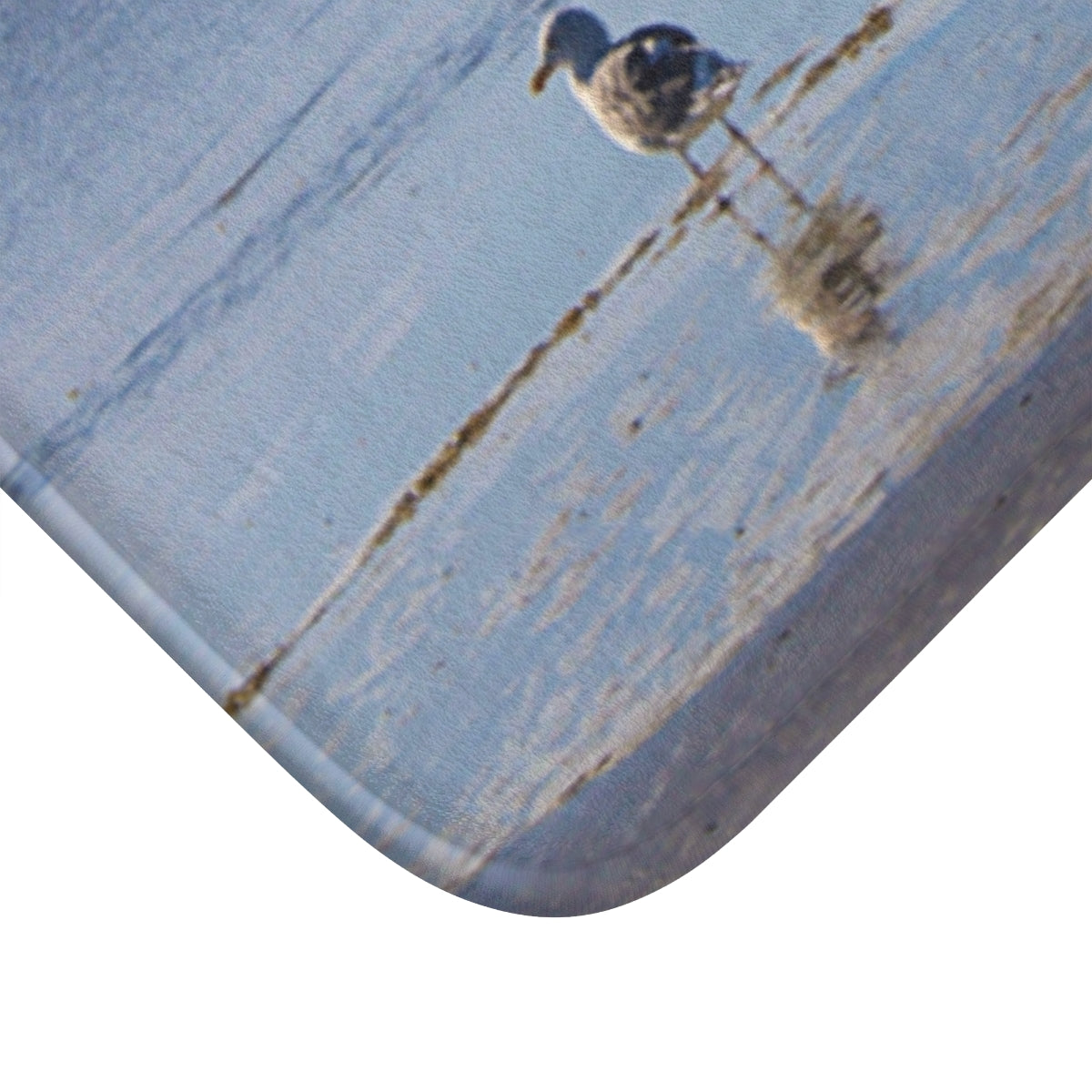 Seagull Walking on Beach Scene Blanket