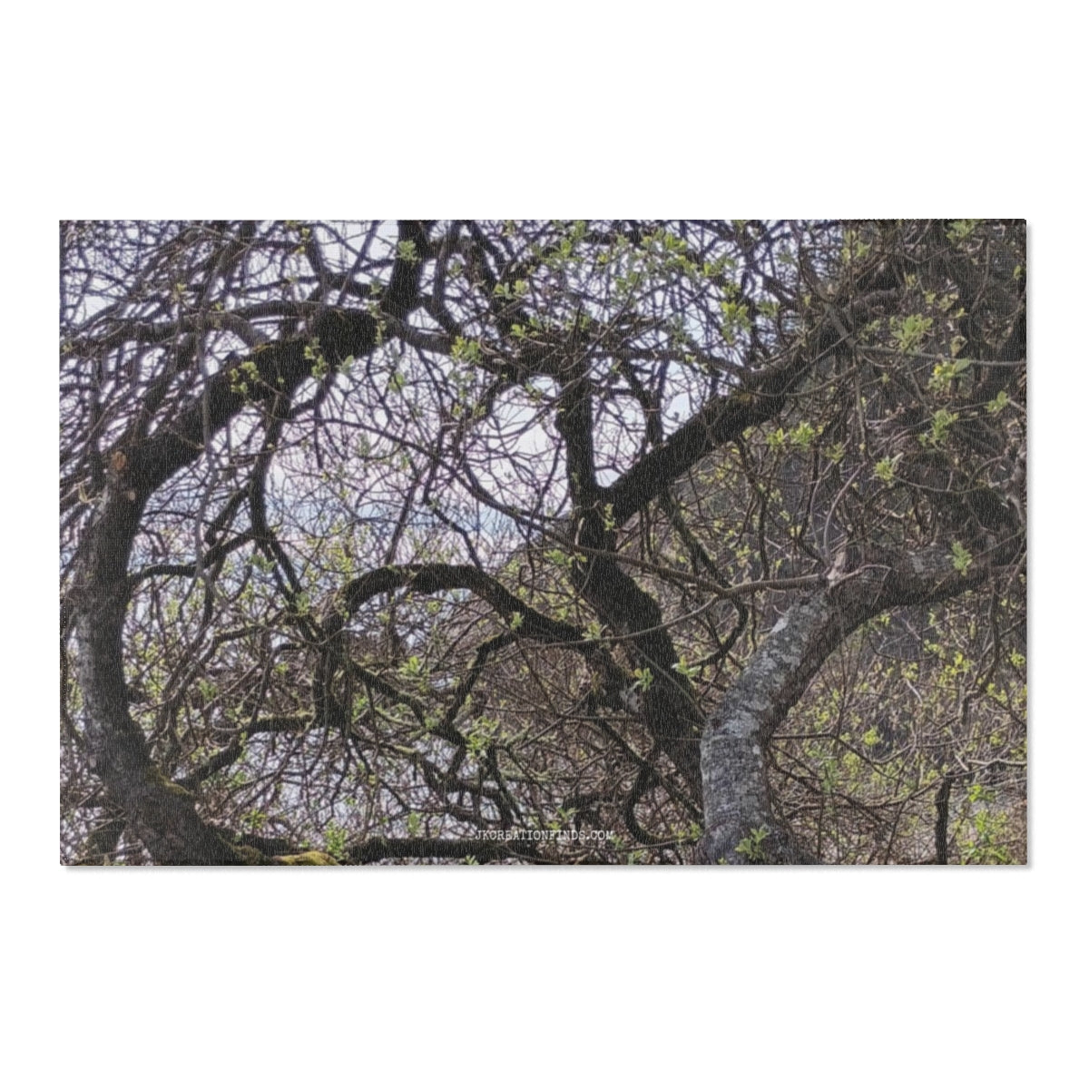 Majestic Tree Branches with Fresh Green Leaves Canvas