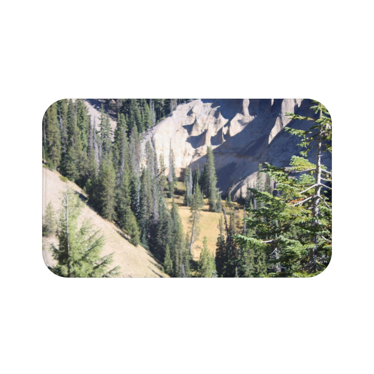 Scenic Mountain And Forest View Artistic Print