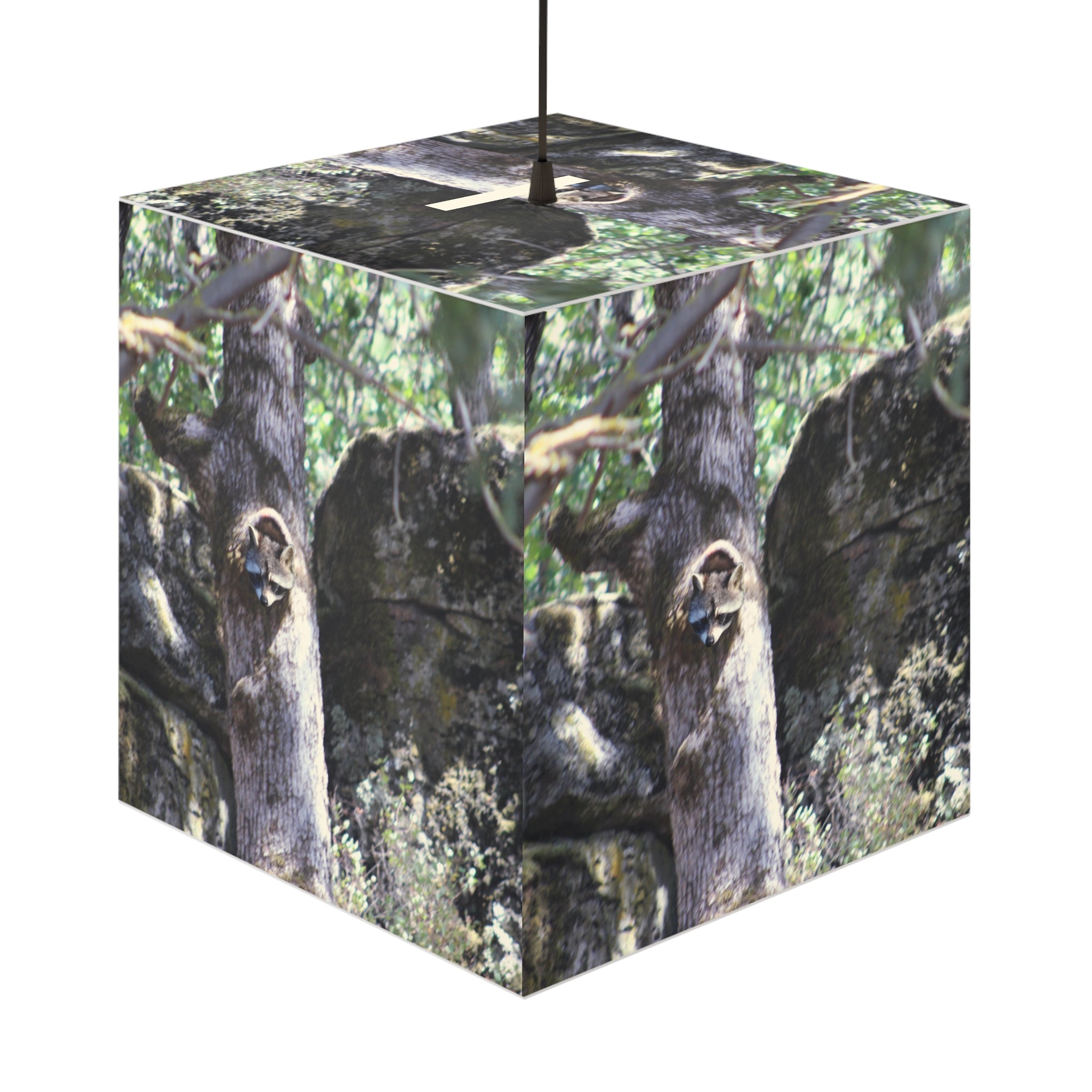 Raccoon Peeking Tree Hole Rocks Greenery product type
