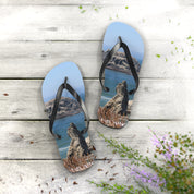 Flip-flops with a rocky landscape and water scene on wooden planks.