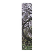 Twisted tree with mossy ground and branches reaching skyward.