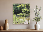 Serene Forest River Landscape Photo Canvas product