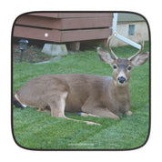 Majestic Deer Resting On Grass Artwork Backdrop