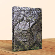 Nature Intricacies Wall Art Canvas Decor Product