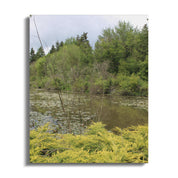 Peaceful Forest Pond Scene Print wall art product type