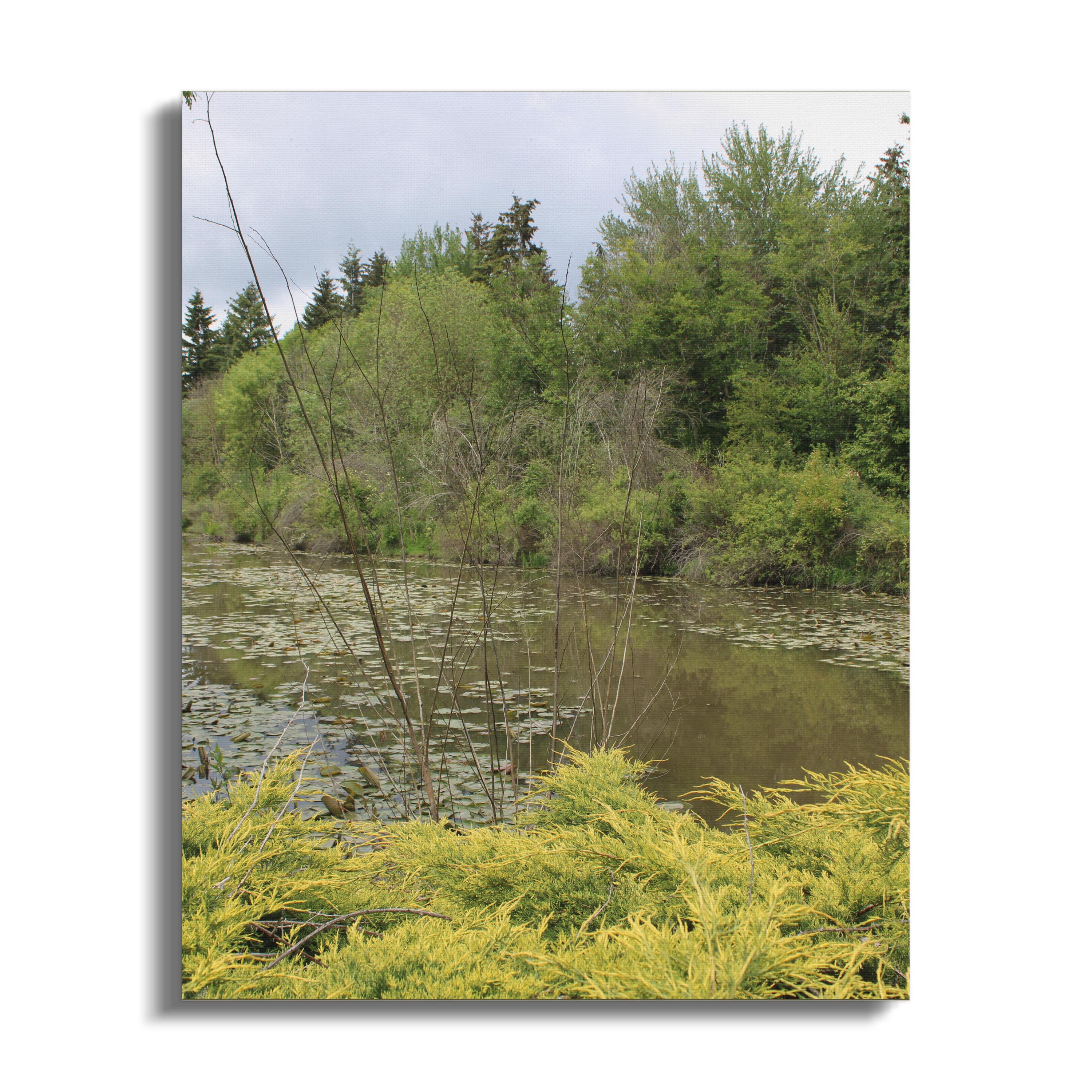 Peaceful Forest Pond Scene Print wall art product type