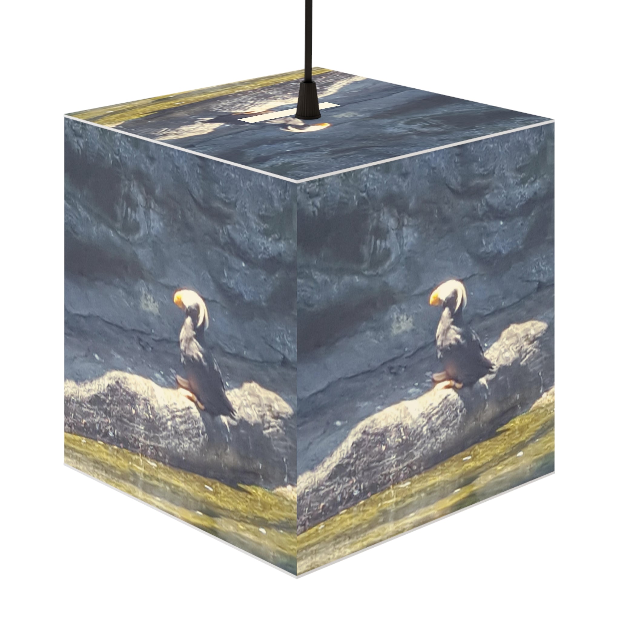 Puffin Bird Water Rock Log Cube Light Fixture product type