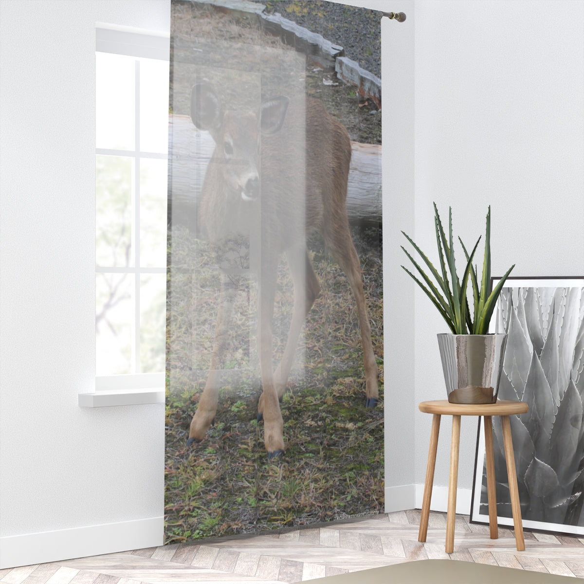 Deer Backdrop by a Window Sheer Curtain Panel
