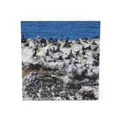 Seabirds Resting on Rocky Shoreline Canvas Print