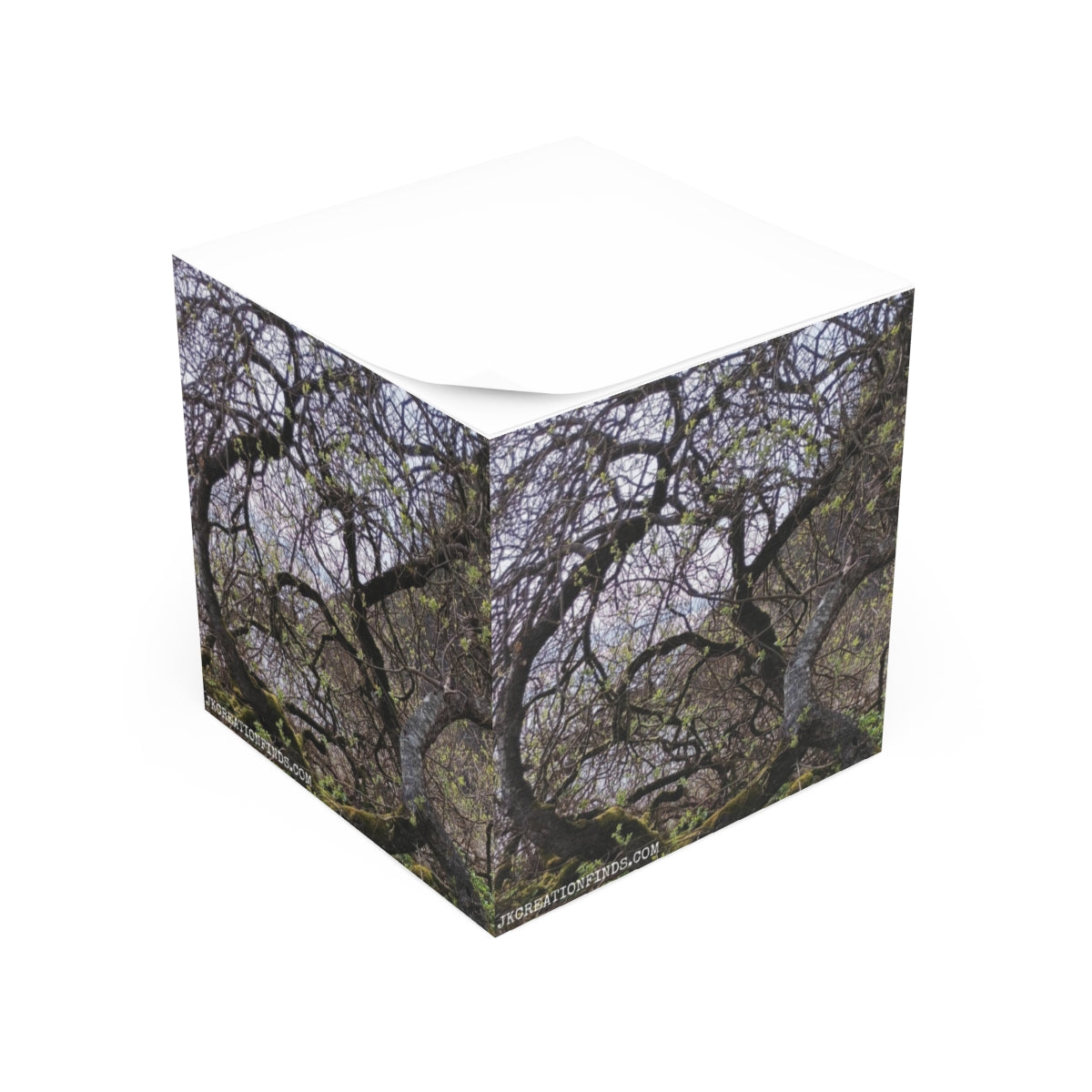 Intricate Tree Branches Design Decorative Box