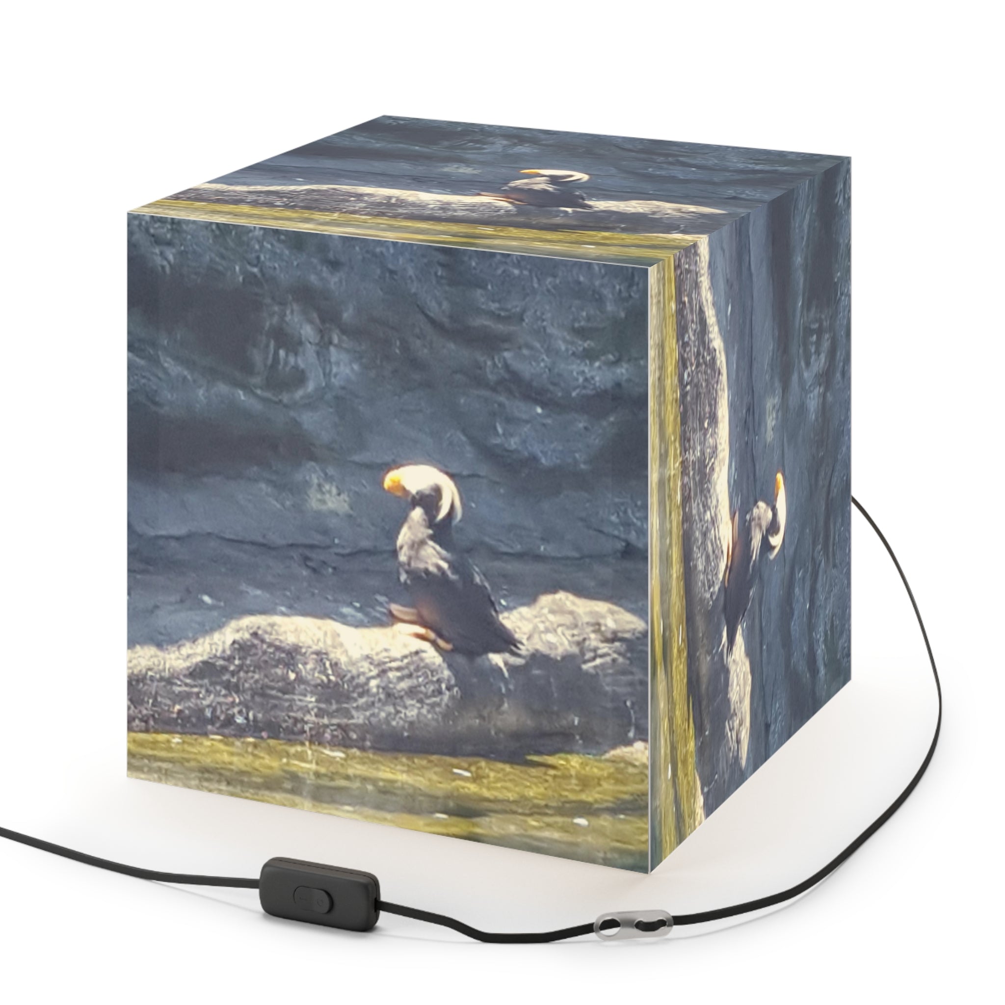 Tufted Puffin Bird Rock Water Illuminated Cube product type