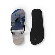 Flip-flops with a landscape image of mountains and a beach.