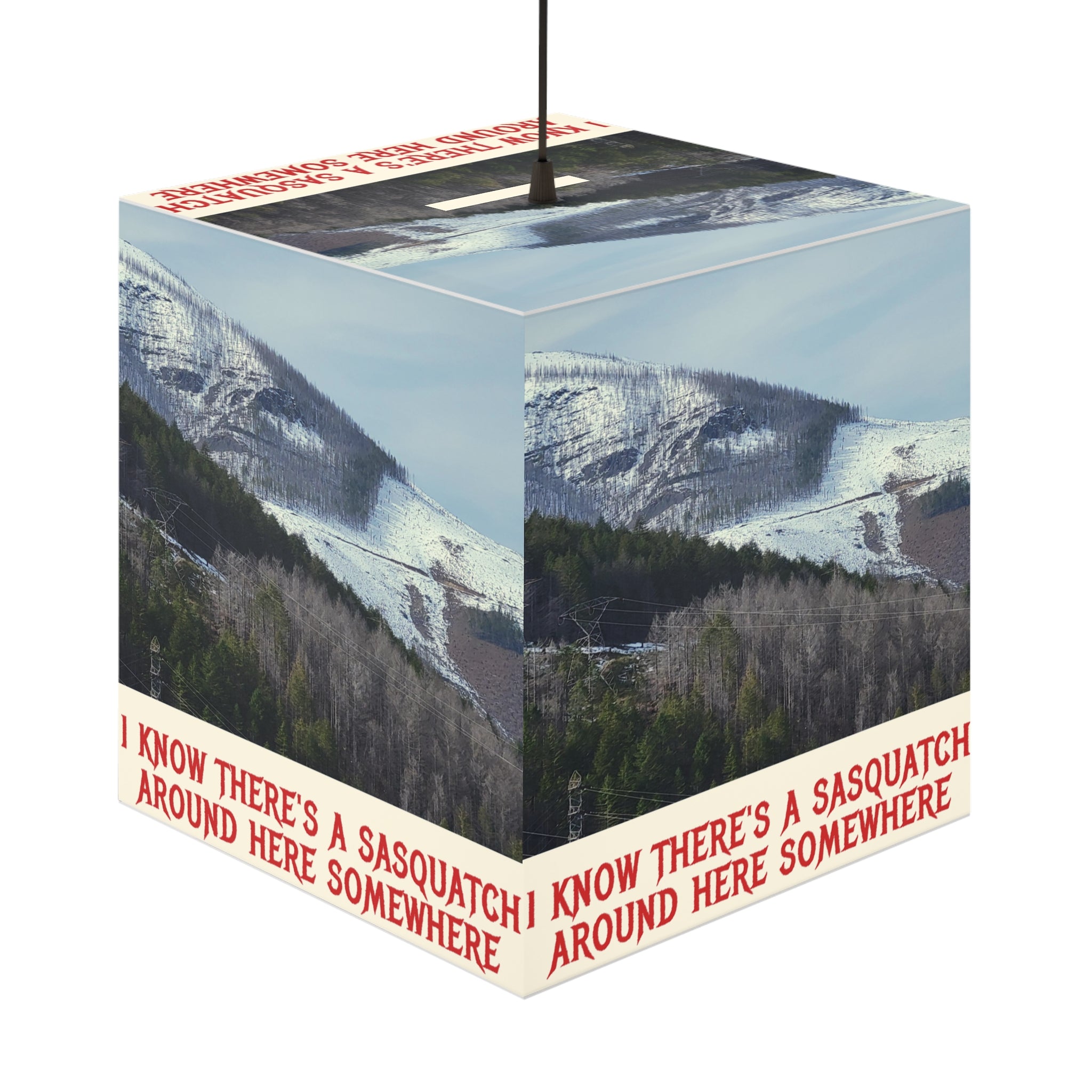I Know There's A Sasquatch Around Here Hanging Lamp product type