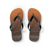 Brown flip-flops with black straps against a white background.