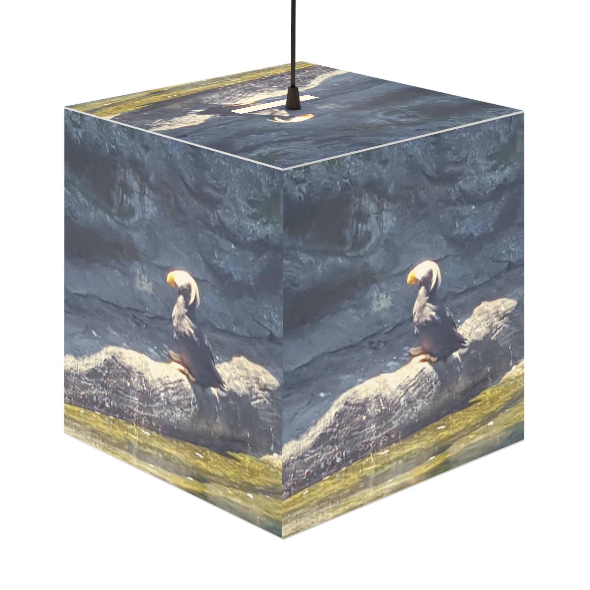 Tufted Puffin Bird Design Cube Light Fixture product type