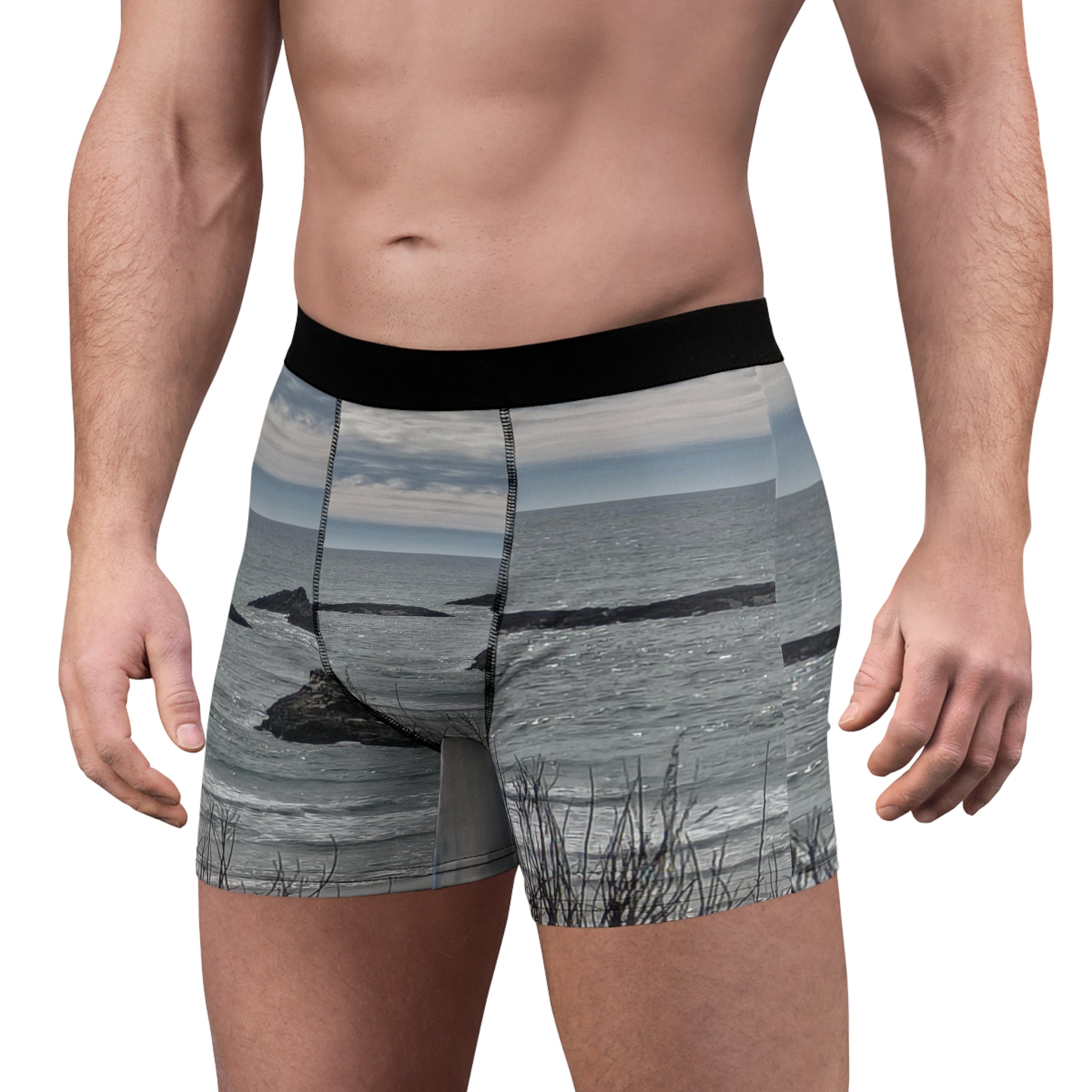 Boxer briefs with a scenic ocean landscape print.