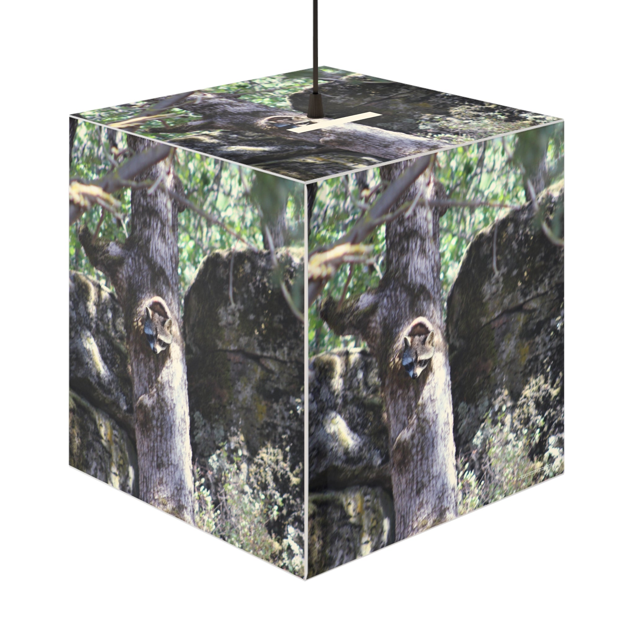 Raccoon Tree Hole Forest Rocky Scene Cube Light product type