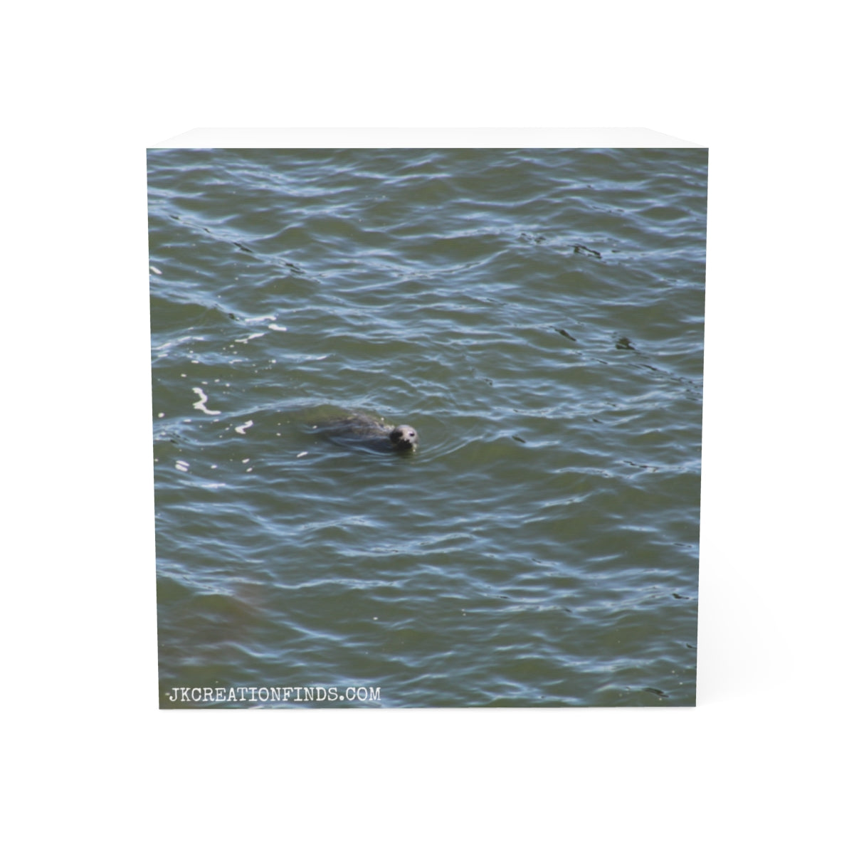 Seal Swimming in Ocean Water Fine Art Canvas Print
