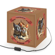 Friendship IS Forever Kittens Box Light product type