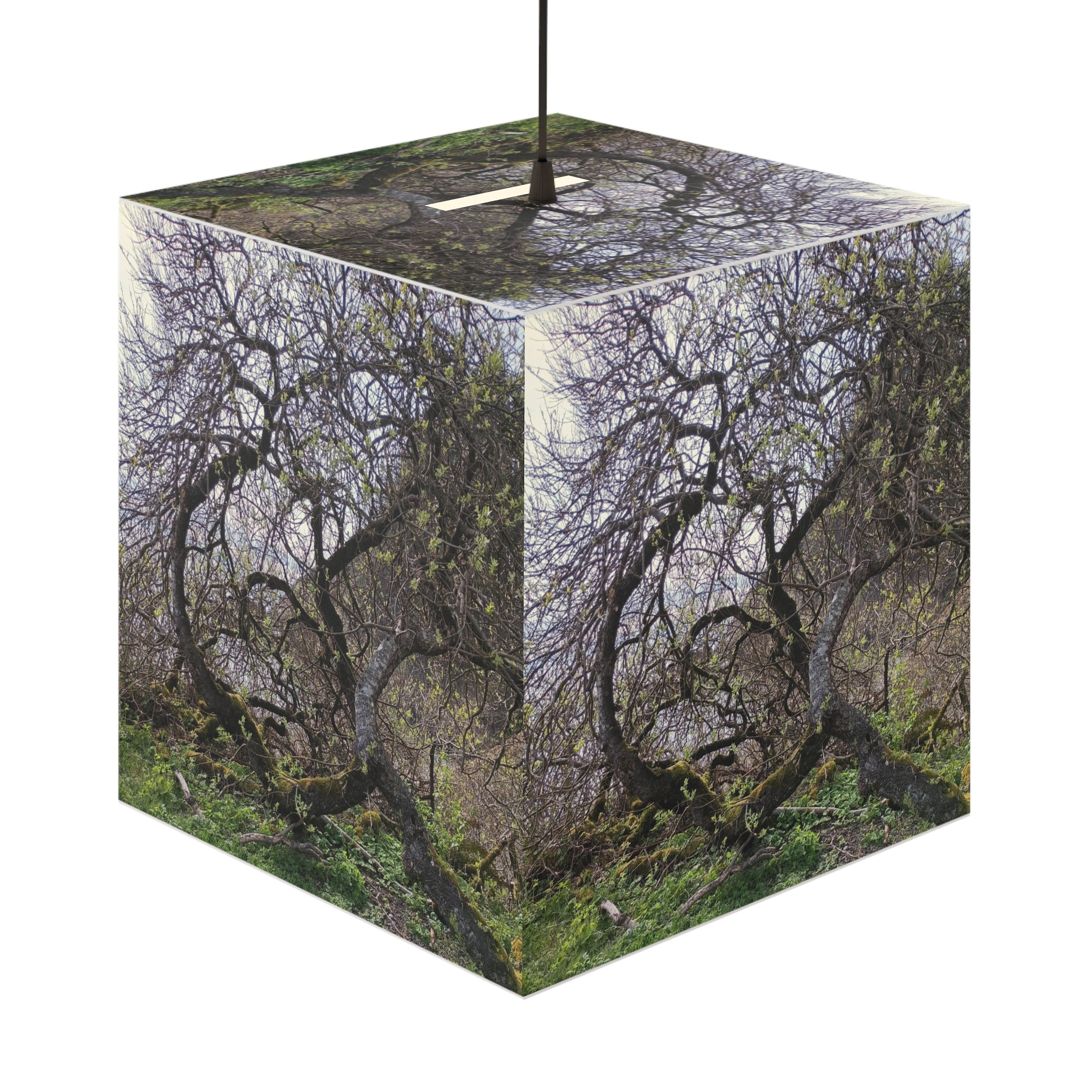 Gnarled Twisted Branches Mossy Green Foliage Scene product type