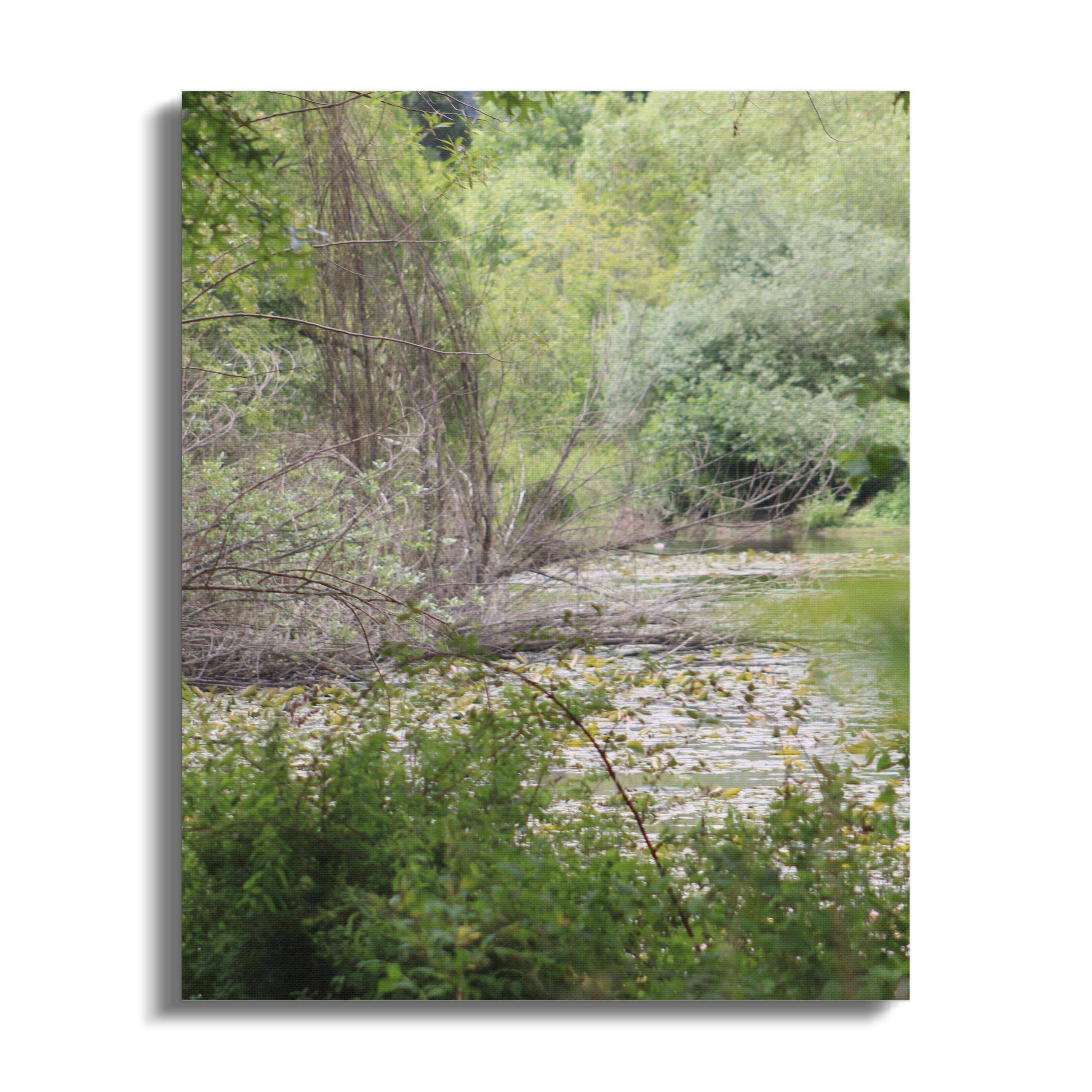 Peaceful Forest Creek Nature Wall Art Canvas product
