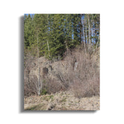 42be1fdf-1873-4d2c-9633-97ac5ac6d4e9