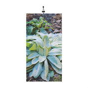 Dew-Kissed Green Plant Photography Print Wall Art