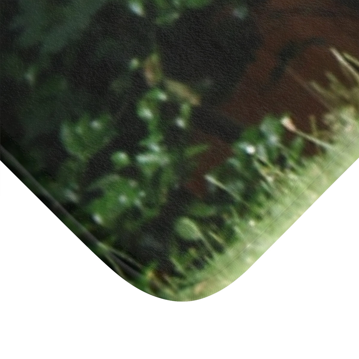 Edge of Leafy Green Grass Close-Up Print product